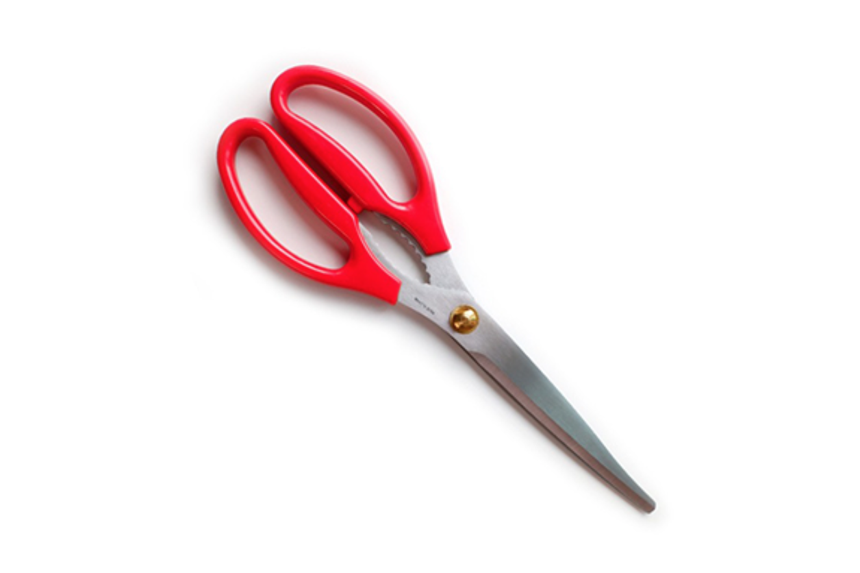 A5 Kitchen Scissors 25.5 cm